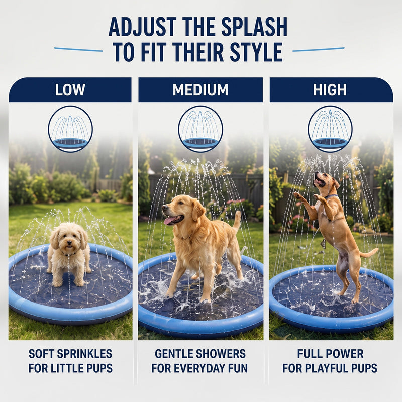 Pet Splash Pad